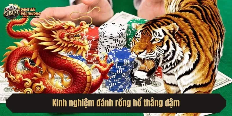 Kinh nghiệm đánh rồng hổ thắng đậm