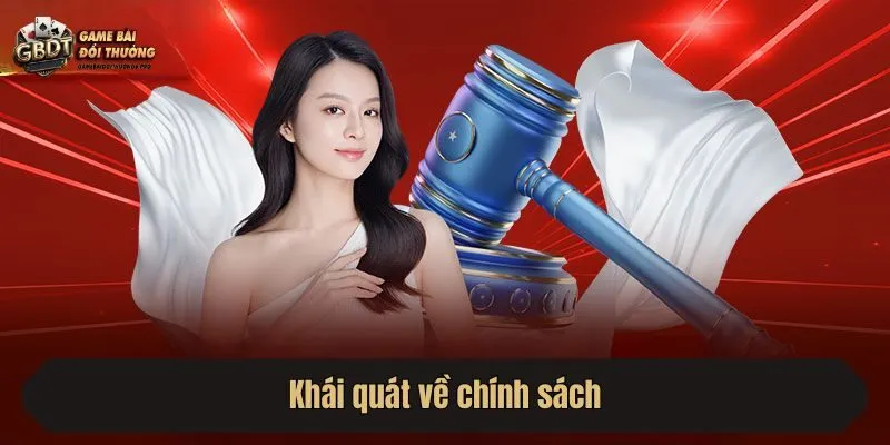 Khái quát về chính sách