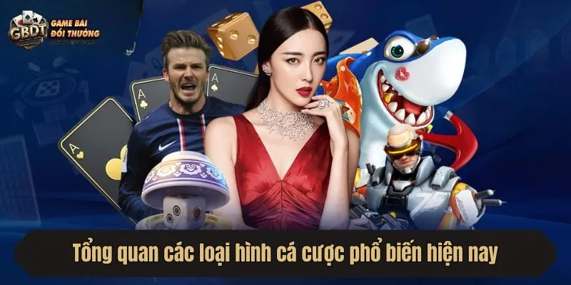 Tổng quan các loại hình cá cược phổ biến hiện nay